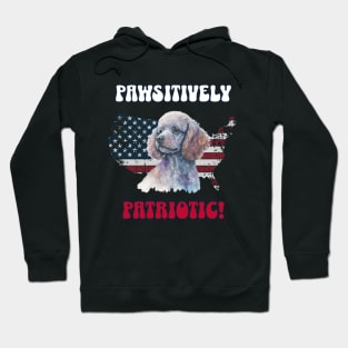 4th of July Independence Day Patriotic Poodle Funny Design for Dog Lovers Hoodie